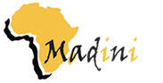 Madini Mining logo